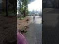 🙏hey guys antha ondo thangal ka visheshan🌞😎 #minivlog #funny #shortvideo #youtubeshorts #malayalam