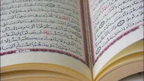 سورة التكاثر - ابو بكر الشاطرى