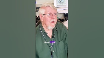 The Secret to a Resilient and Beautiful Tree Canopy