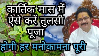 कार्तिक में ऐसे करें तुलसी पूजा हर मनोकामना होगी पूरी विष्णु भगवान होंगे प्रसन्न