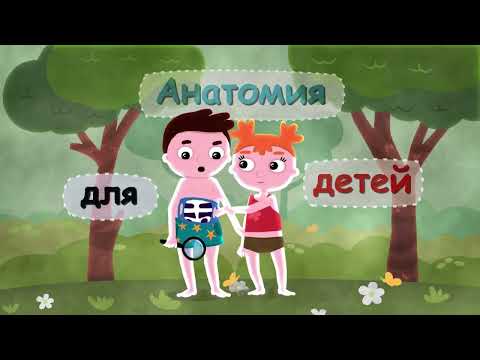 Анатомия для детей. Мультфильм о том как устроено тело.