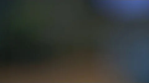 Charlie Munger addresses shareholders at Daily Journal annual meeting