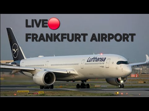 LIVE🔴 Frankfurt Airport Planespotting | sunday morning ☀️🛫| Zeppelinheim