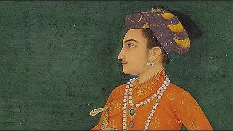 Exploring Color in Mughal Paintings