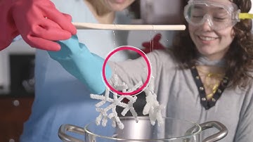 How to Make Crystal Snowflakes