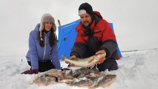 ЖЕНА МЕНЯ ОБЛОВИЛА! Без еды 24 часа на зимней рыбалке с ночевкой в палатке.