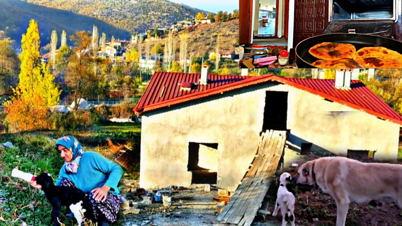 Avtobusda yapon pornosini tomosha qiling Yalangoch Bogdanova