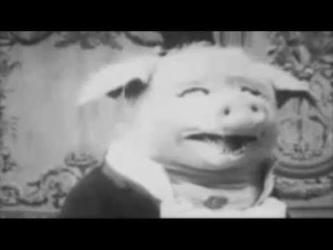 LE COCHON QUI