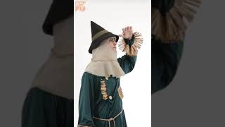 Scarecrow costume the wizard of oz  🐦🐦- Made By Funidelia