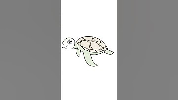 How to draw a TURTLE 🐢 Turtle Drawing video