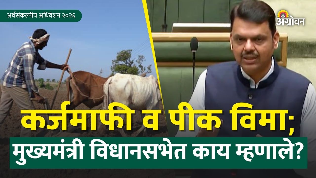 Farmer Loan Waiver: शेतकरी कर्जमाफी कधी?;मुख्यमंत्र्यांची विधानसभेत माहिती | Devendra Fadanvis