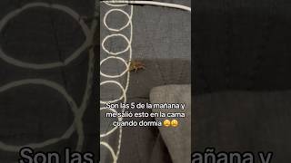 Esto me salió a las 5 de la mañana en la cama mientras dormía 😫😱