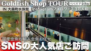 The Goldfish Shop That Rules Social Media] Elegant and Luxurious