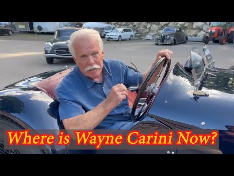 Video: Valore netto Wayne Carini