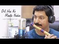 Dil Hai Ke Manta nahin Flute cover | दिल हैं के मानता नही | Instrumental By Music Retouch