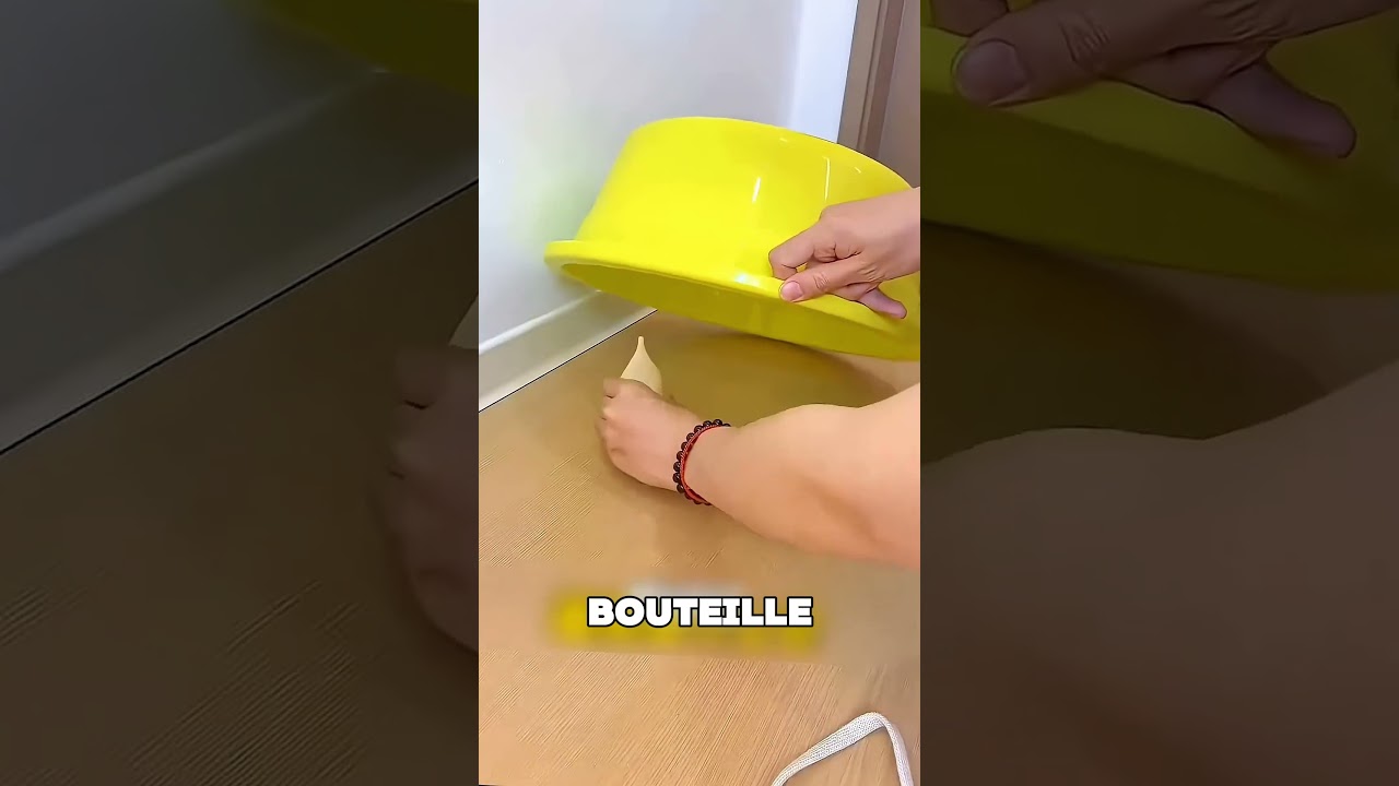 Ce propriétaire a dû attraper le chaton 🤯❤️