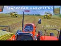Kubota mu 5502 4wd with vishal 435 harvester | सोयाबीन उड़द हार्वेस्ट का समय आ गया
