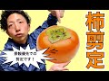 【剪定　pruning　カキ　景観優先】大きくなってしまった柿の木を切り詰める剪定！※実がつきにくくなるので注意！