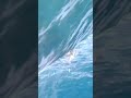 tears of the kingdom glitch