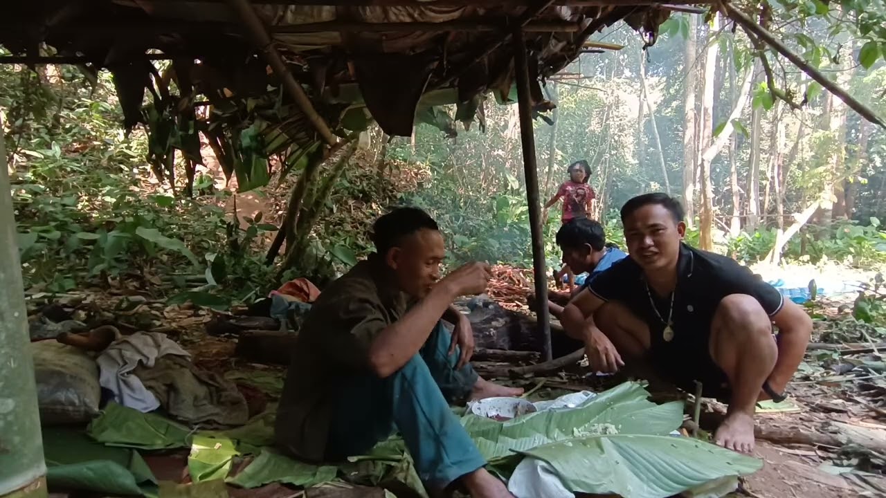 วันนี้มาเยี่ยมและพูดคุยกับบ่าววาด คนป่า ตองเหลือง ຄົນປ່າ ຕອງເຫຼືອງ bn saolao 