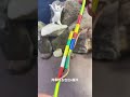 Live Wire Connection Technique Used By Professional Electricians #wire #shortvideo