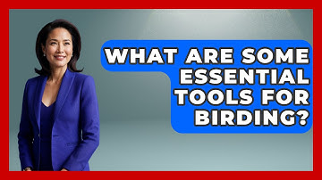 What Are Some Essential Tools for Birding? | Bird Watching Diaries