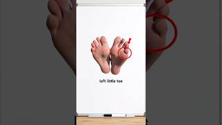 🤔 #education #feet #didyouknow #asmr #asmrsounds #shorts #viral #creative #content #educational