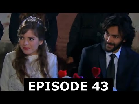 Sardar Drama Season 4 Episode 43 ددري مورچل برخه / Da Dare Morchal/ Sungurler/ #saeedtvinpashto