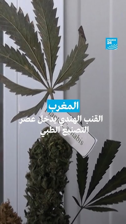  :         24 / FRANCE 24
 - نشر قبل 41 دقيقة
