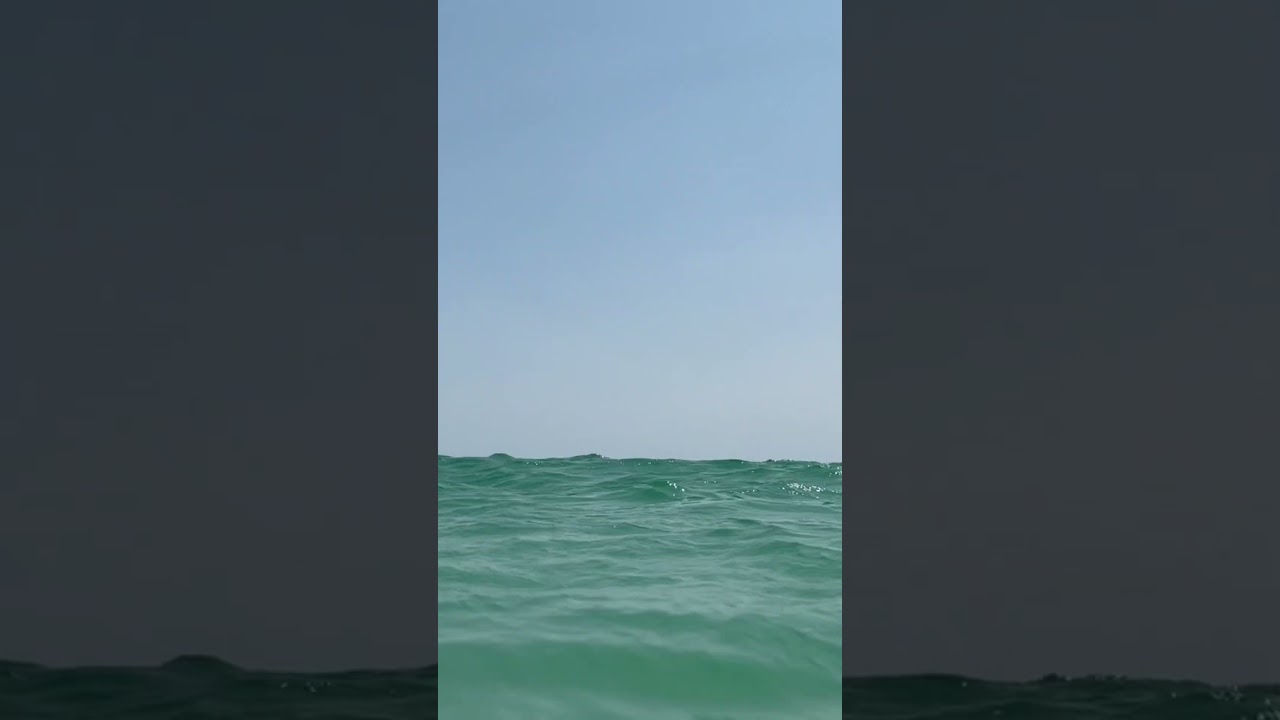 Florida - Shark infested waters