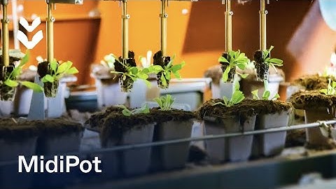 Customer Story: Linders Kwekerijen | TTA-ISO