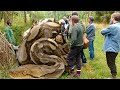 WORLDS LONGEST SNAKES!! | BRIAN BARCZYK