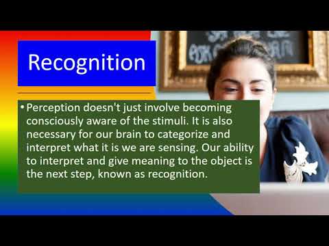 PERCEPTION  - Meaning, Definition, Principles ,Types ,Features