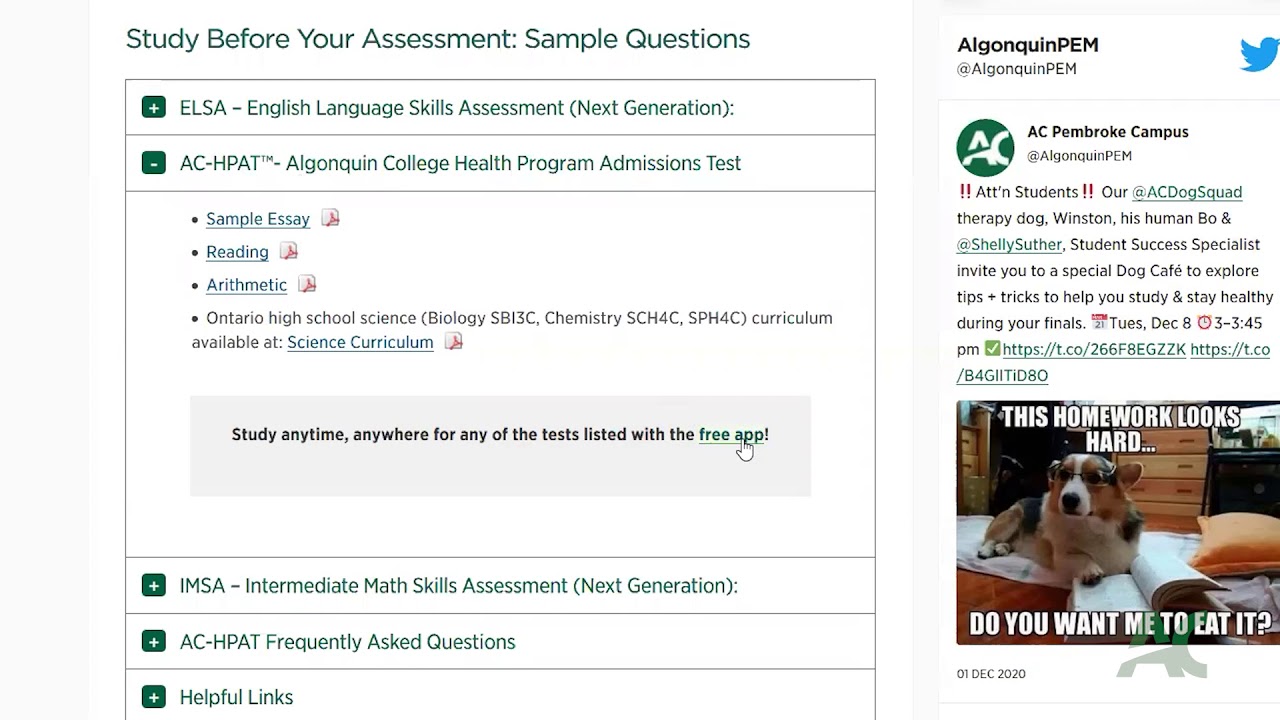 Testing Services<script async src=