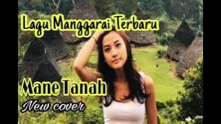 Lagu manggarai terbaru || Mane tana By : sius Magung