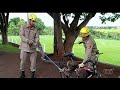 Bombeiros resgatam cobra enrolada em bicicleta em clube de Itumbiara; veja vídeo