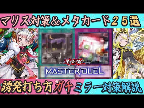 マリス　m∀lice　デッキパーツ(誘発、汎用ex抜き) マリス m∀lice デッキパーツ(誘発、汎用ex抜き)