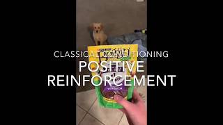 operant conditioning- PSY-102