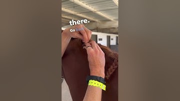 The Secret for the Perfect Button Braids