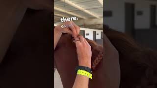 The Secret for the Perfect Button Braids