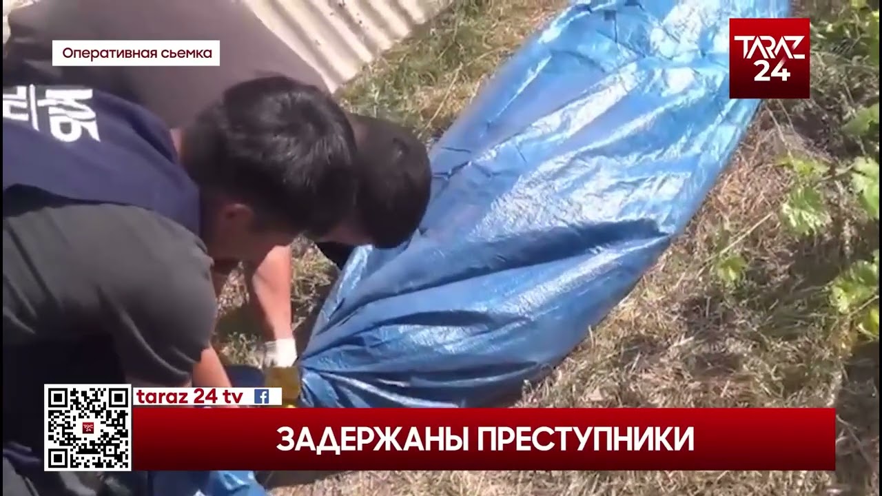 ЗАДЕРЖАНЫ ПРЕСТУПНИКИ