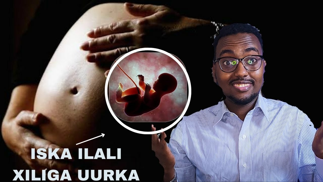 8-Kan Calamaadod Iska Ilali Xiliga Uurka!