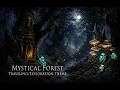 Dark Forest Exploration | Ancient Mystical Woods (Fantasy RPG Music)