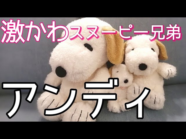 スヌーピーの兄弟 アンディの ぬいぐるみ 可愛すぎなふわふわアンディの新しいぬいぐるみ3サイズの紹介です Youtube