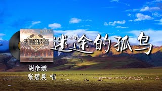 迷途的孤鸟 (Live) - 胡彦斌/张碧晨『曾也是飞过云桥 挣扎在片刻喧嚣 被遗忘的孤鸟 在迷途的中央 靠着自己固执寻找 试着想起海边 做的那些记号』【Vietsub/Pinyin Lyrics】