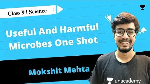 Useful And Harmful Microbes One Shot | SSC Class 9 | Science | SSC | Mokshit Mehta