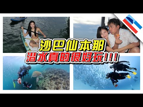 (会员无消音)🇲🇾这是只有去潜水才能看到的世界！/仙本那/沙巴/Sabah/