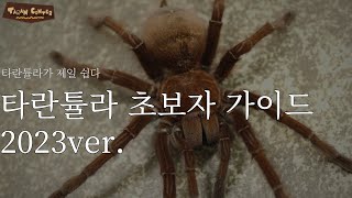 타란튤라가 키우기 제일 쉽습니다