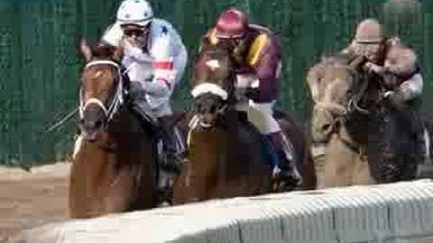 Big Brown Haskell Invitational 2008