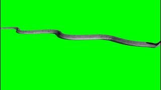 GREEN SCREEN ULAR 🐍 - SNAKES VIDEOS - BACKGROUND EDITOR KEREN - ULAR COBRA PART 03
